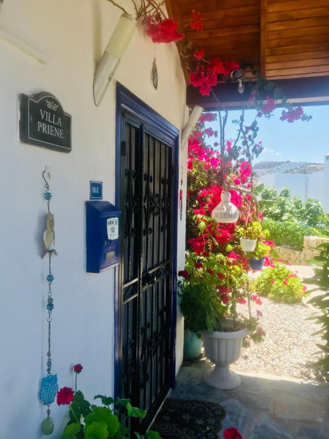 Villa Priene - Gumusluk Private Pool Dış mekan fotoğraf